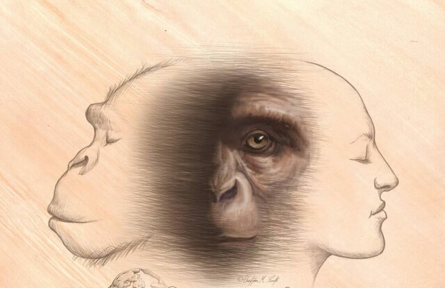 Último lazo (6 millones a.C)