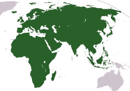 Extención (2 millones a.C)
