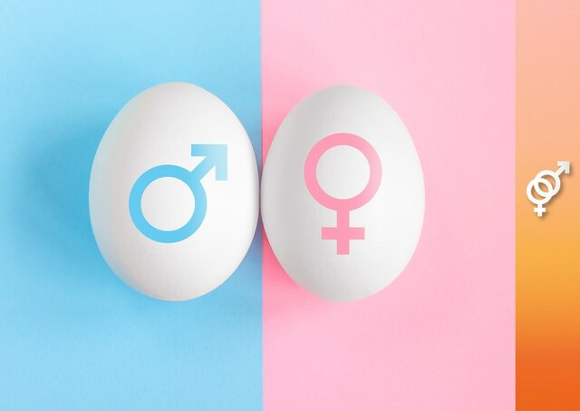 Feminismo plantea la construcción social de la identidad