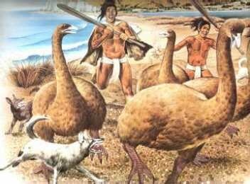 First inhabitants- 1000AD or CE