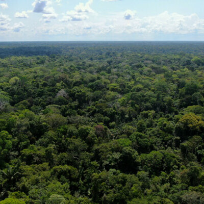 Timeline: 10 Sucesos ambientales