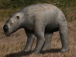 Diprotodonte