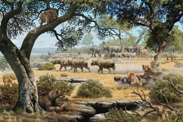 Extinción megafauna