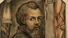 Timeline: História Anatomia