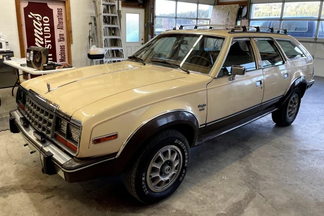 Amc Eagle