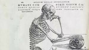 Andreas Vesalius - o fim