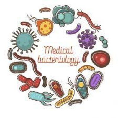Timeline: HISTORIA DE LA MICROBIOLOGIA