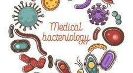 Timeline: HISTORIA DE LA MICROBIOLOGIA