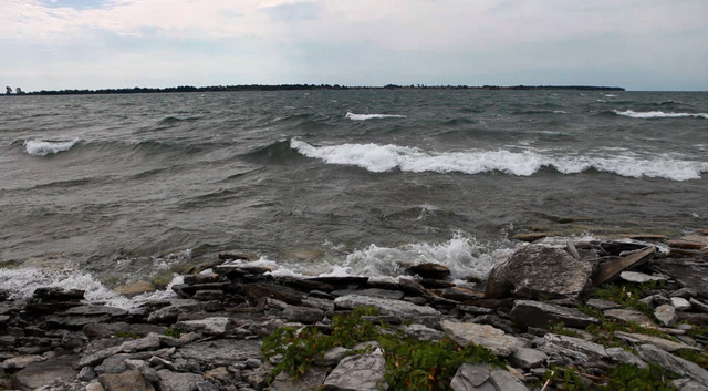 Foot found in Cape Vincent