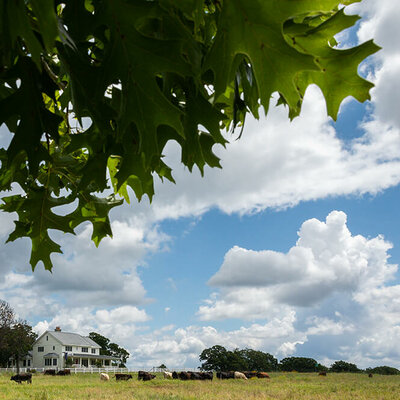 Timeline: Regenerative agriculture