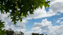 Timeline: Regenerative agriculture