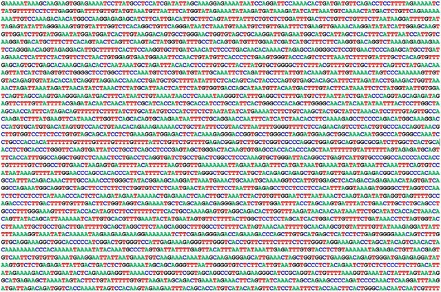 Secuenciación del genoma humano