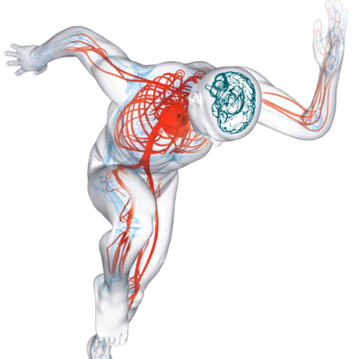 Timeline: Eventos Relevantes en la Historia de La Neurociencia