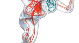 Timeline: Eventos Relevantes en la Historia de La Neurociencia