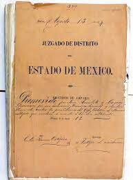 La Ley Orgánica de Amparo