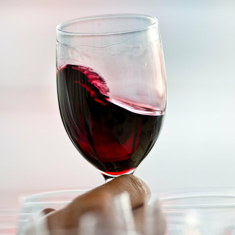 Hoy en día ¿Qué conocemos como Vino?