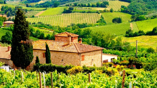 Enotría, La tierra del vino