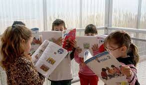 Movimiento Accelerated School (Modelo Levin)