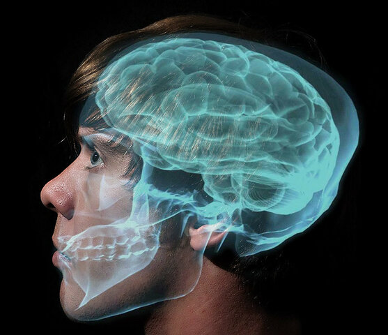 Proyecto cerebro humano