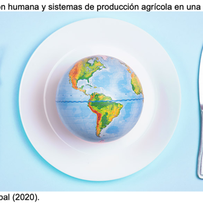 Timeline: Línea del tiempo de los sistemas agroalimentarios