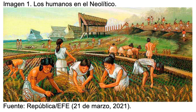 Neolítico (hace 10,000 años hasta el siglo XVII)