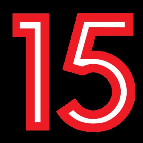 Los 15 puntos y el primer libro de reglas oficiales.