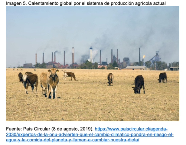 Sistema de producción agroindustrial (1990-2020)