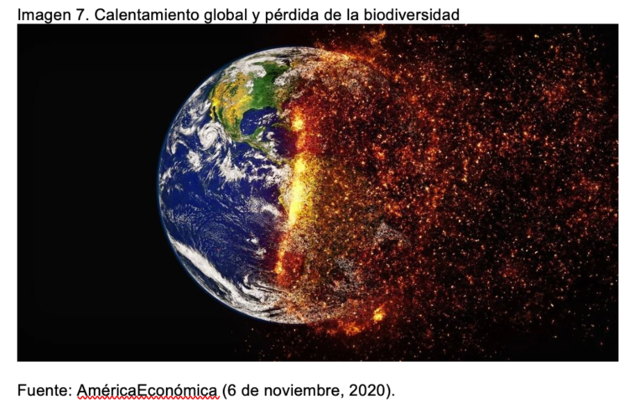 Sistema de producción agroindustrial actual (2020)