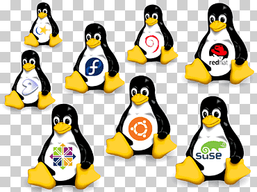 1992 primeras distribuciones de Linux