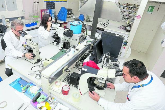 2014. Mas laboratorios (64)