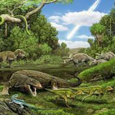 Timeline: Era Paleozoico Periodo Pérmico