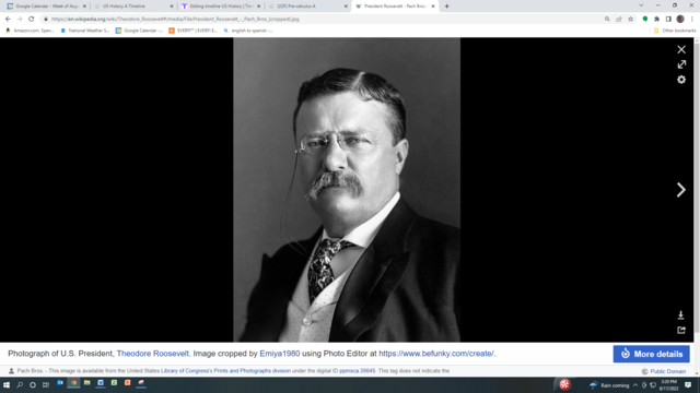 Theodore Roosevelt becomes president