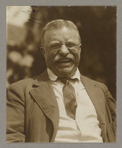 Theodore Roosevelt becomes president