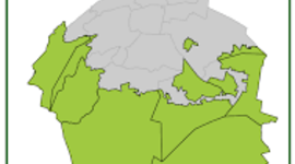 Timeline: Derecho a la vivienda vs Ciudad de México sustentable