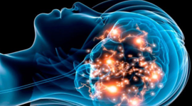 Timeline: FASES DEL SUEÑO