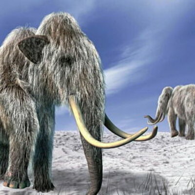 Timeline: Periodo Cuaternario- Era Cenozoico- Época Pleistoceno