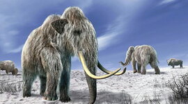 Timeline: Periodo Cuaternario-Era Cenozoica-Época Pleistoceno