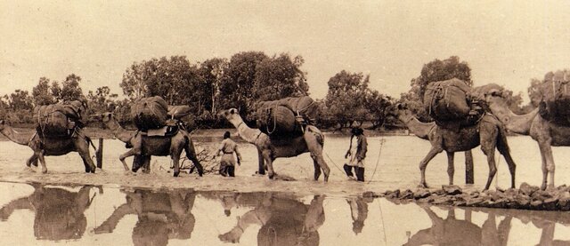 The Afghan Cameleers