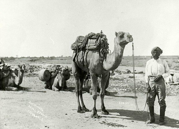 Central and South Asia Cameleers