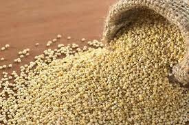 Año Internacional de la Quinua