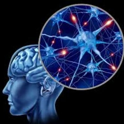 Timeline: Evolución Neurociencia conductual: Personajes importantes para el aporte a la neurociencia de la conducta. Por Katerine Juliana Jimenez R