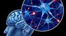 Timeline: Evolución Neurociencia conductual: Personajes importantes para el aporte a la neurociencia de la conducta. Por Katerine Juliana Jimenez R