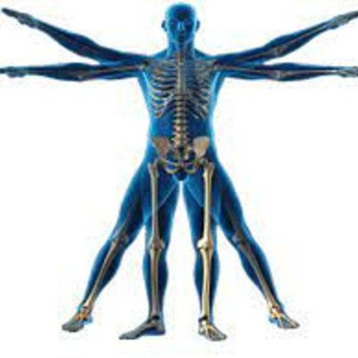 Timeline: Historia de la kinantropometria