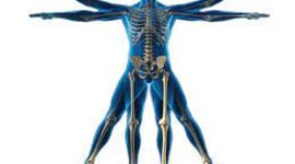 Timeline: Historia de la kinantropometria