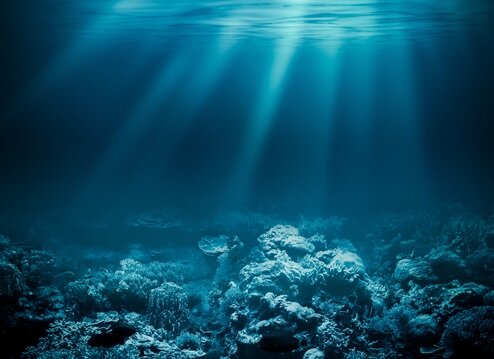 Conferencia sobre los Océanos