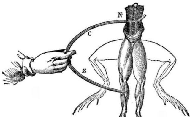 Italiano Galvani