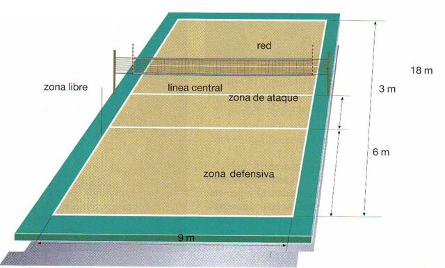 Medidas del campo y altura del techo.
