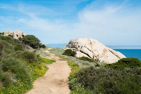 Caminata centenaria: zonas azules