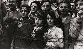 Lina's Family is Arrested