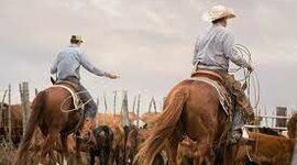 Timeline: Evolution of Ranching